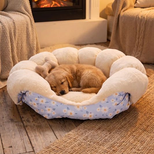 Canapé Pour Chien  - Confort Majestueux