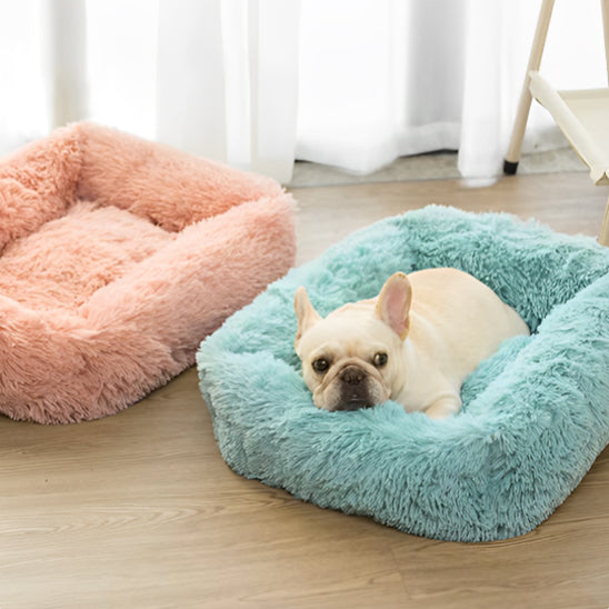 Panier anti-stress bleu avec un bouledogue français couché à côté du modèle rose