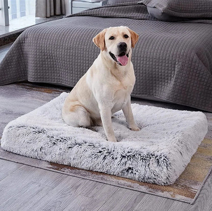 COUSSIN CHIEN -FLATDOG™