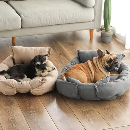 COUSSIN CHIEN - BREAKYDOG™