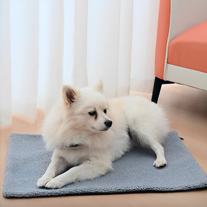 TAPIS POUR CHIEN -SIMPLYDOG™