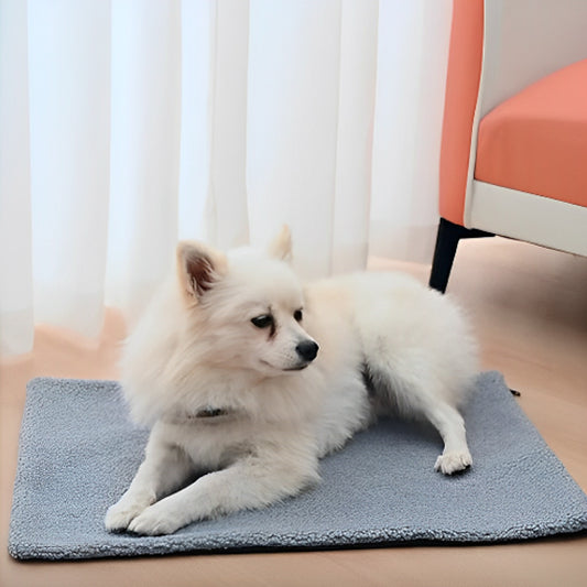 TAPIS POUR CHIEN SIMPLE-SIMPLYDOG™