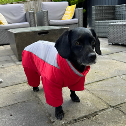 MANTEAU CHIEN -THERMALDOG™
