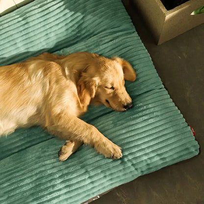 COUSSIN CHIEN -GIANTDOG™