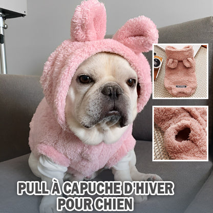 CHIEN MANTEAU  -PERFECTDOG™