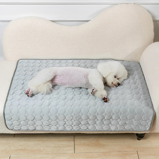 TAPIS RAFRAÎCHISSANT POUR CHIEN-CHARMERDOG™