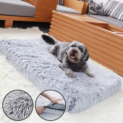 COUSSIN CHIEN -FLATDOG™