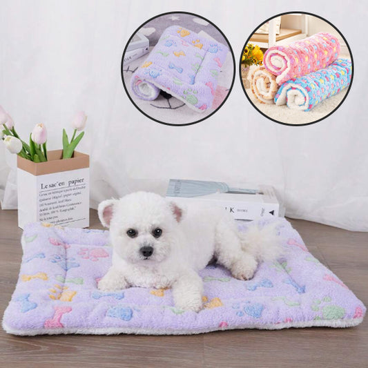 TAPIS POUR CHIEN-FERVORYDOG™