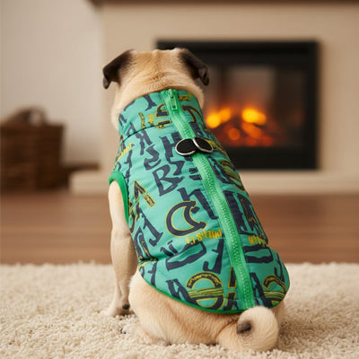 CHIEN MANTEAU  -PARFAIT