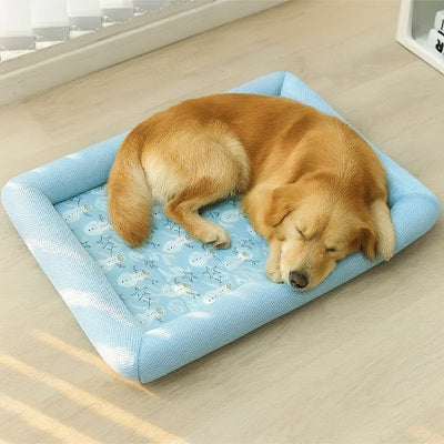 COUSSIN  POUR CHIEN MAGIQUE - PANIER CONFORTABLE ET COLORÉ BLEU 45X37 cm