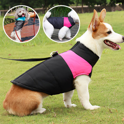 MANTEAU CHIEN  - WARMYDOG™