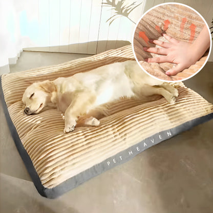COUSSIN CHIEN -GIANTDOG™