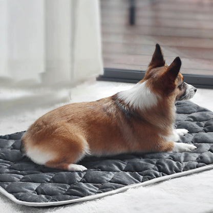 COUSSIN POUR  CHIEN- SPACIEUX