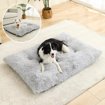COUSSIN POUR CHIEN INDESTRUCTIBLE-COZYDOG™