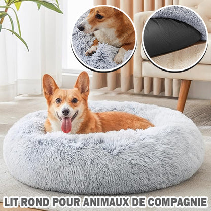 PANIER CHIEN DESIGN -CUTYDOG™