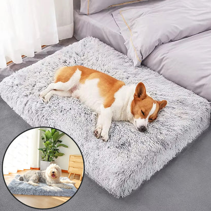 COUSSIN CHIEN -FLATDOG™