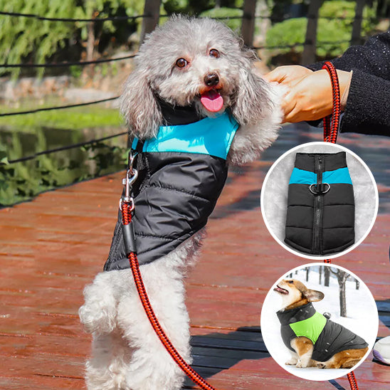 MANTEAU CHIEN CORDIAL - WARMYDOG™