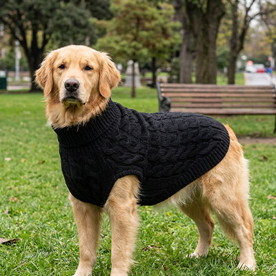 MANTEAU CHIEN -TRICOT CONFORTABLE ET CHALEUREUX