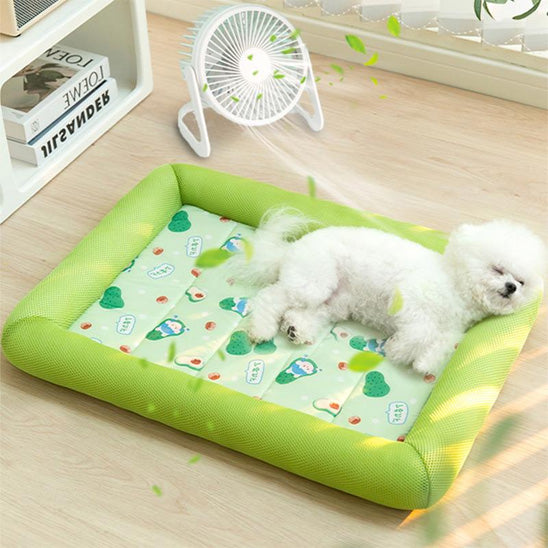COUSSIN CHIEN MAGIE- MAGICDOG™