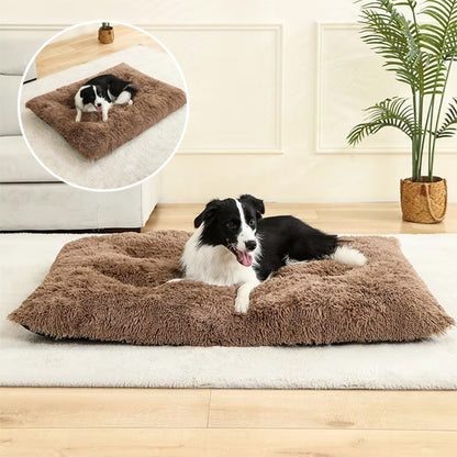 COUSSIN POUR CHIEN INDESTRUCTIBLE-COZYDOG™