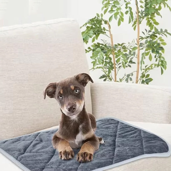 COUSSIN POUR  CHIEN- SPACIEUX