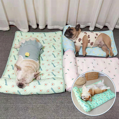 TAPIS RAFRAÎCHISSANT POUR CHIEN-COSTYDOG™