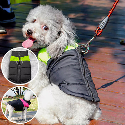MANTEAU CHIEN  - WARMYDOG™