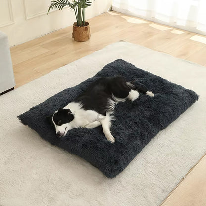 COUSSIN POUR CHIEN INDESTRUCTIBLE-COZYDOG™