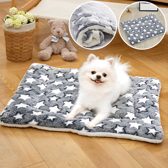 TAPIS POUR CHIEN-FERVORYDOG™