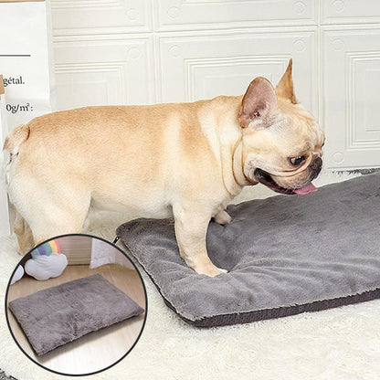 TAPIS POUR CHIEN -CUSHYDOG™