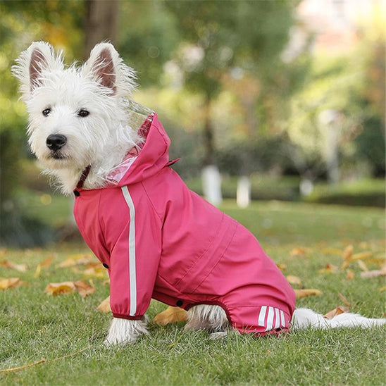 Manteau pour chien - Printemps léger idéal pour la mi-saison