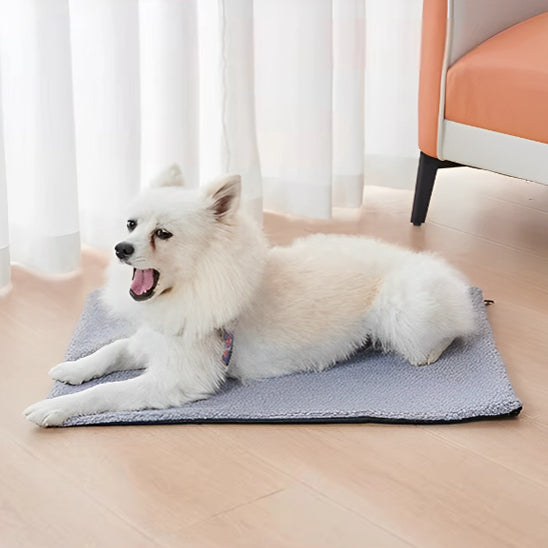TAPIS CHIEN -UNIQUE