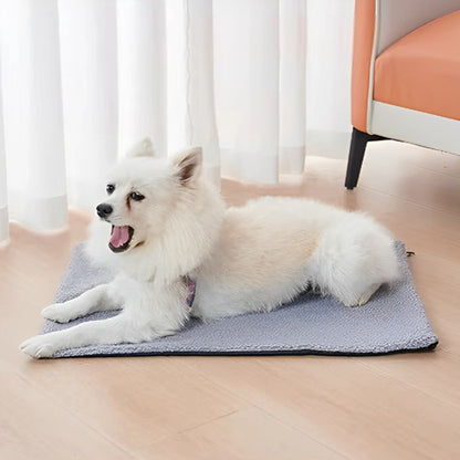 TAPIS CHIEN -UNIQUE