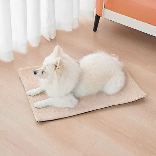 TAPIS CHIEN -UNIQUE