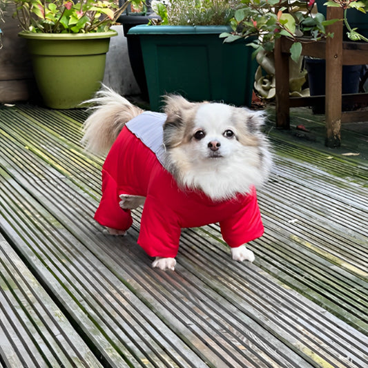 MANTEAU POUR CHIEN -HIVER