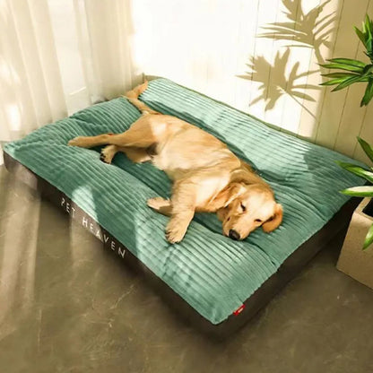 COUSSIN CHIEN -GIANTDOG™