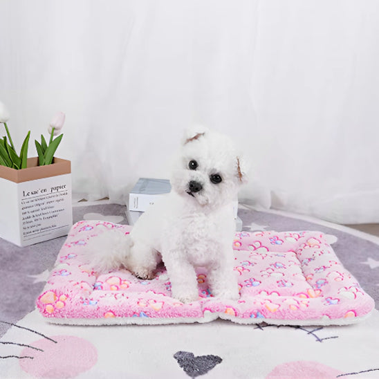 TAPIS POUR CHIEN-FERVORYDOG™
