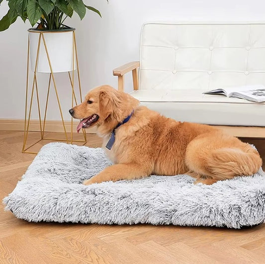 COUSSIN POUR CHIEN -PLAT CONFORTABLE ET DOUX