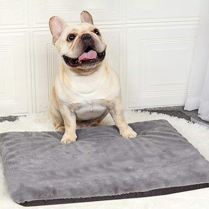 TAPIS POUR CHIEN -CUSHYDOG™