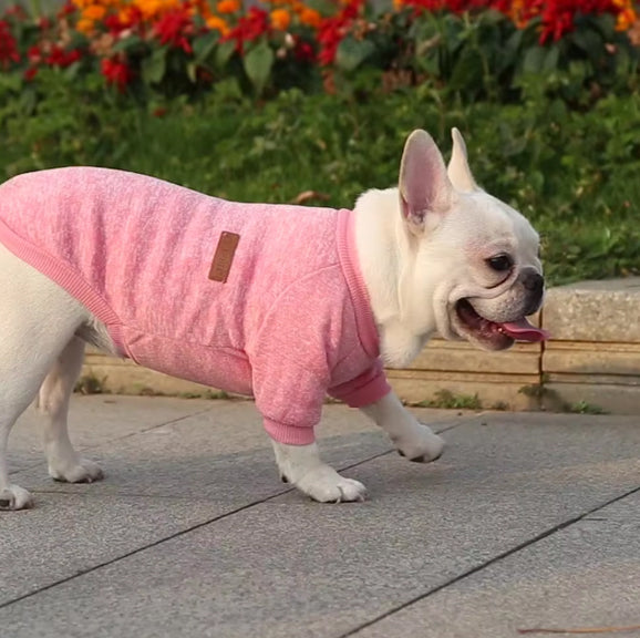 MANTEAU CHIEN - COTON