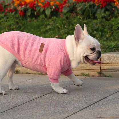 MANTEAU CHIEN - COTON