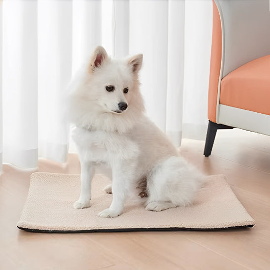 TAPIS CHIEN -UNIQUE