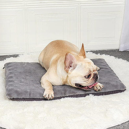 TAPIS POUR CHIEN -CUSHYDOG™