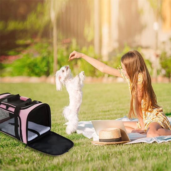 SAC DE TRANSPORT POUR CHIEN -CARDOG