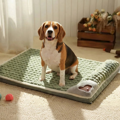 Lit pour Chien