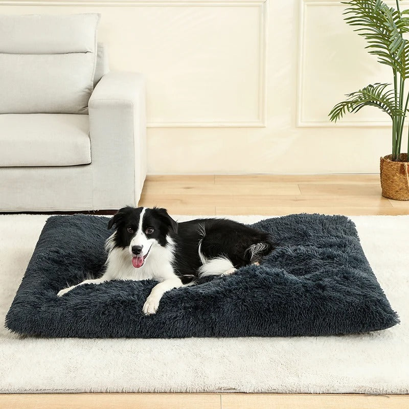 COUSSIN POUR CHIEN DEHOUSSABLE -REFUGE