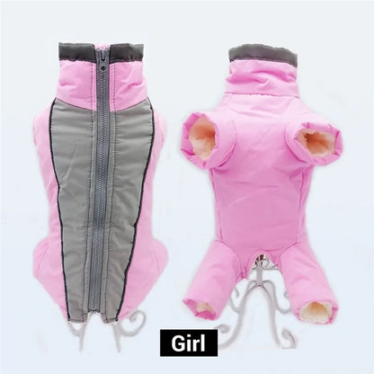 MANTEAU POUR CHIEN -FREEZDOG™