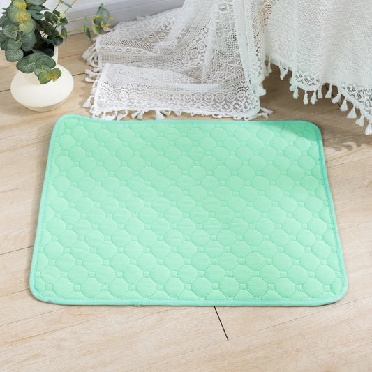 TAPIS POUR CHIEN PROPRE -OWNDOG™