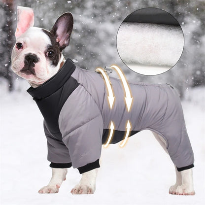 MANTEAU CHIEN -THERMALDOG™