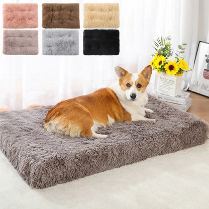 COUSSIN POUR CHIEN -BRIGHTDOG™